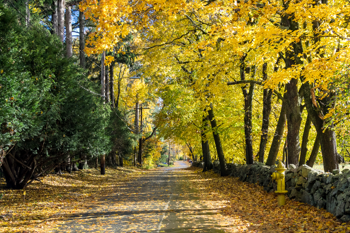 Anytown USA 1200X800 005